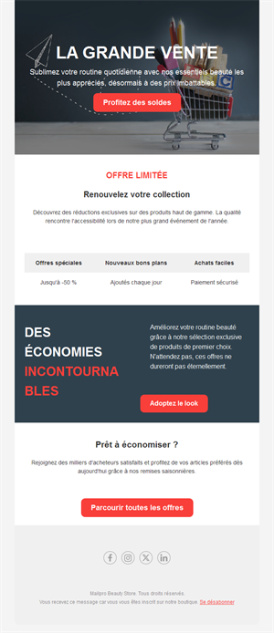 Email de grandes soldes avec caddie